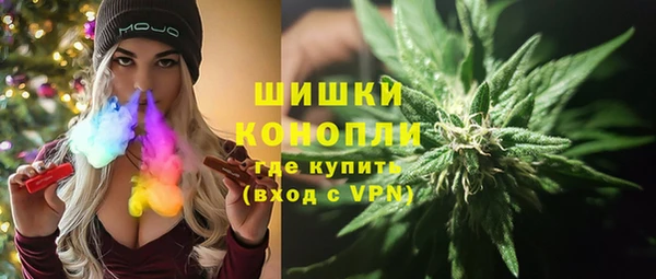 твердый Иннополис