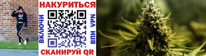 MEGA ССЫЛКА  Злынка  Каннабис White Widow  наркошоп 